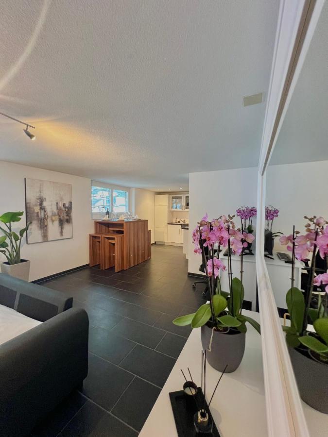 The R Apartment Froburg, Parking, Netflix, Golfplatz Obergosgen Bagian luar foto